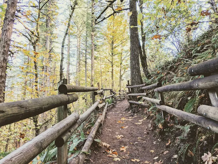 YMCA Camp Collins Picture 4