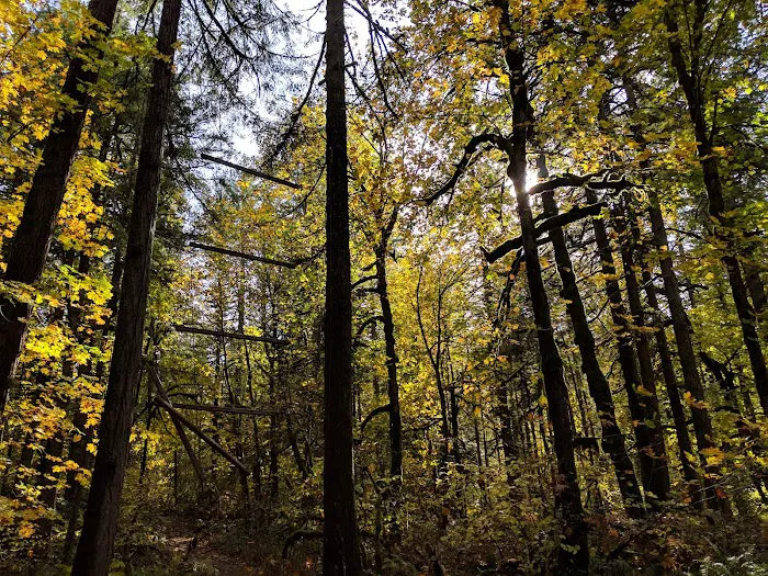 YMCA Camp Collins Picture 8