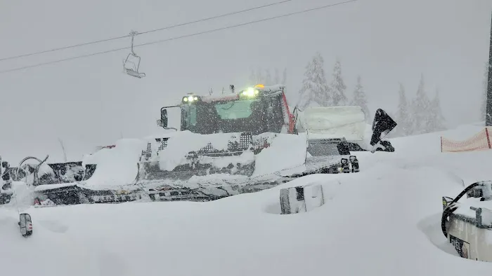 The Preserve at Hunters Lake HOA Cottage Picture 1