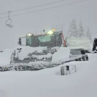 The Preserve at Hunters Lake HOA Cottage ico