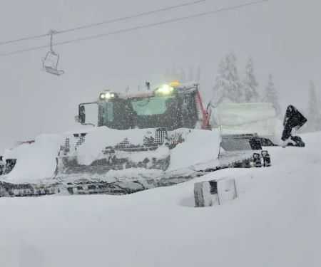 The Preserve at Hunters Lake HOA Cottage