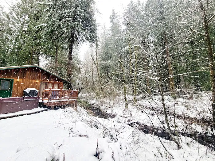 Fernwood Cabin Picture 6