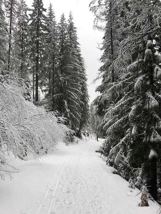 Trillium Lake Basin Cabin Picture 4