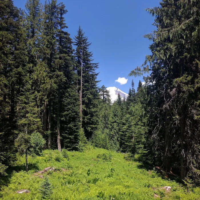 Trillium Lake Basin Cabin Picture 6