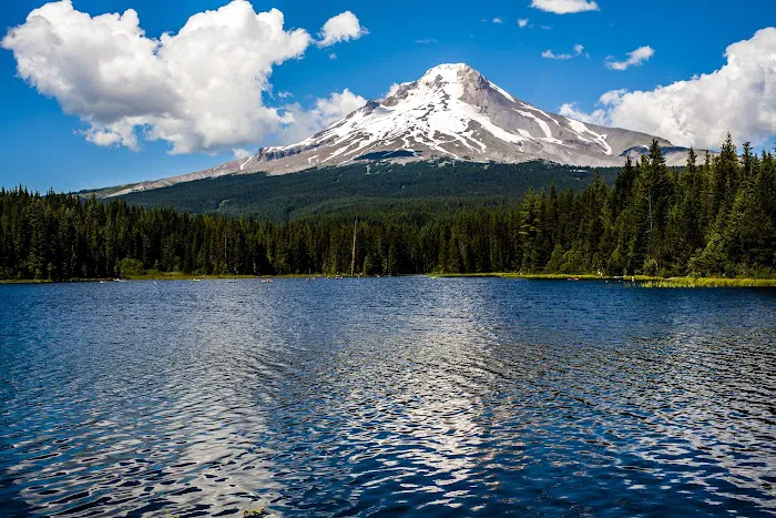 Trillium Lake Basin Cabin Picture 9