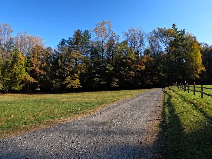 Meadowside Lodge Picture 1