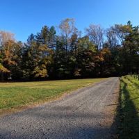 Meadowside Lodge ico