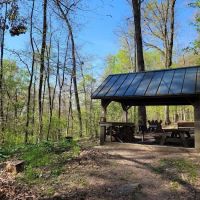 Bear Spring Cabin PATC ico