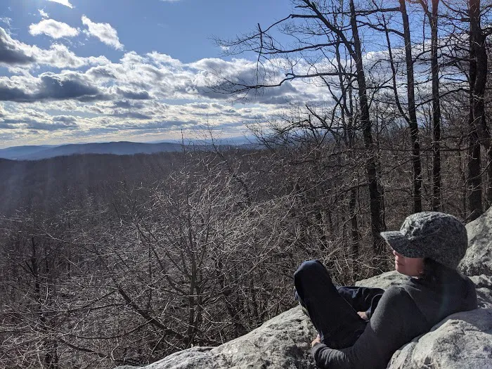 Bear Spring Cabin PATC Picture 5