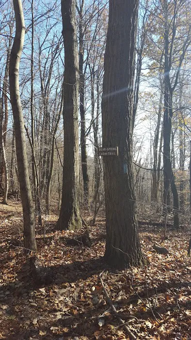 Bear Spring Cabin PATC Picture 7