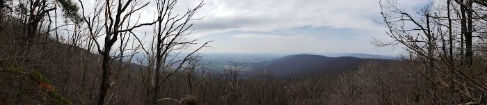 Bear Spring Cabin PATC Picture 10