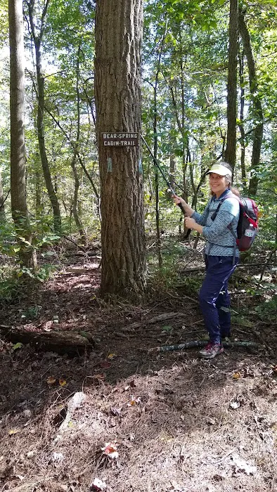 Bear Spring Cabin PATC Picture 9