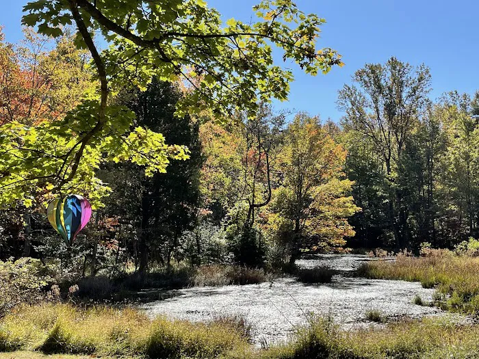 Friends Wilderness Center Picture 5