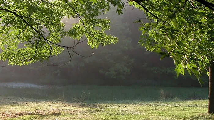 Friends Wilderness Center Picture 2