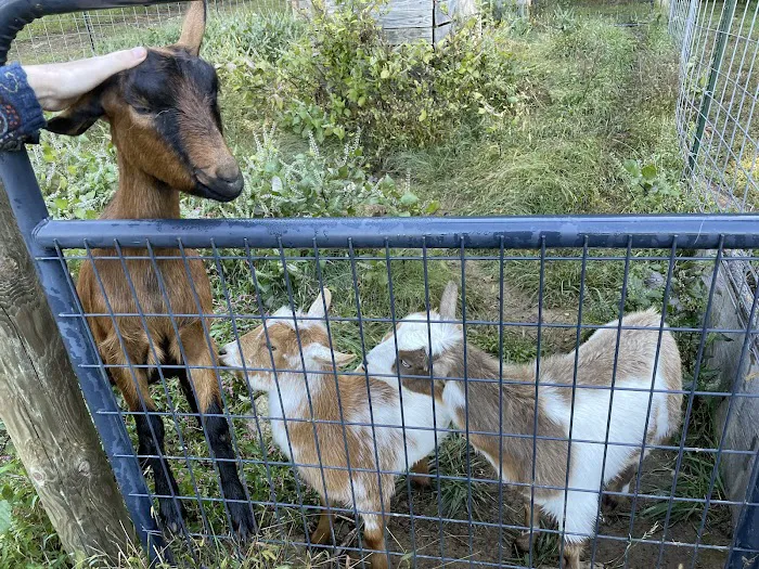 Friends Wilderness Center Picture 8