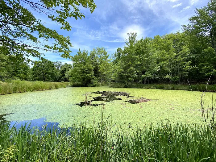 Friends Wilderness Center Picture 6