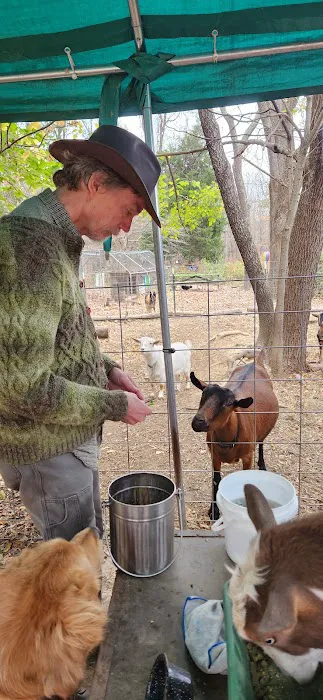 Friends Wilderness Center Picture 10