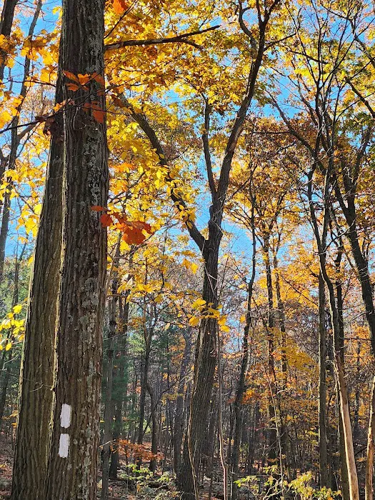 Raven Rock Hiker Shelter Picture 3