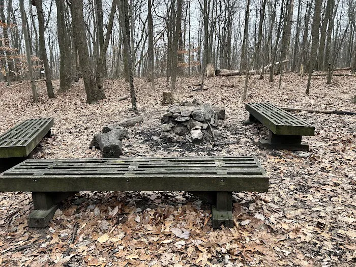 Raven Rock Hiker Shelter Picture 6