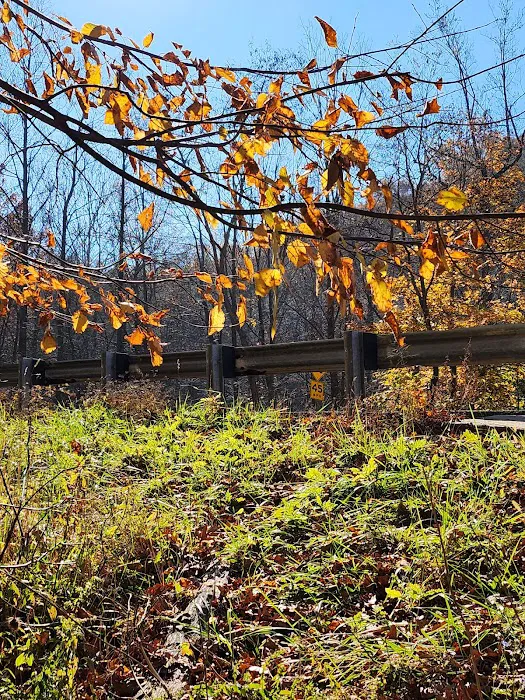 Raven Rock Hiker Shelter Picture 5