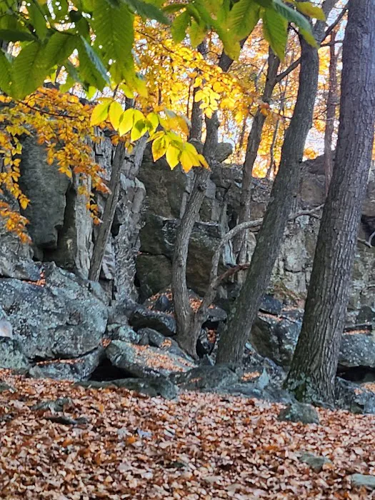 Raven Rock Hiker Shelter Picture 4