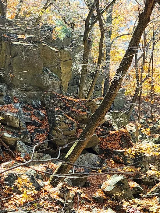 Raven Rock Hiker Shelter Picture 7