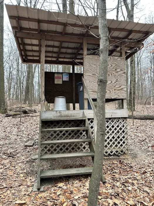 Raven Rock Hiker Shelter Picture 8