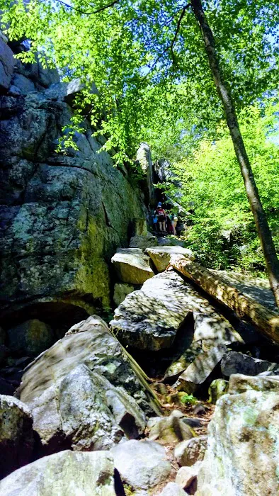 Hermitage Cabin (PATC): Parking Area Picture 7