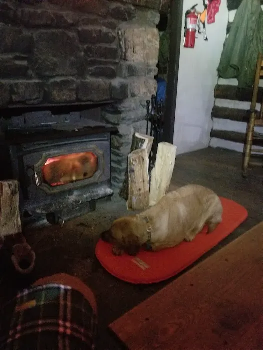 Anna Michener Cabin Picture 6