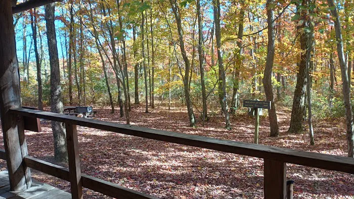 Anna Michener Cabin Picture 4