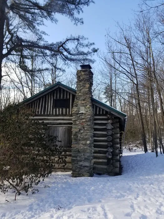 Anna Michener Cabin Picture 3