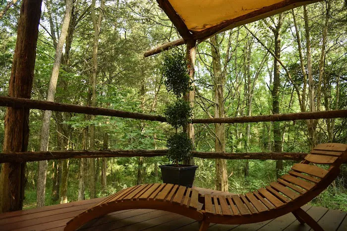 BigMount Glamping Picture 4