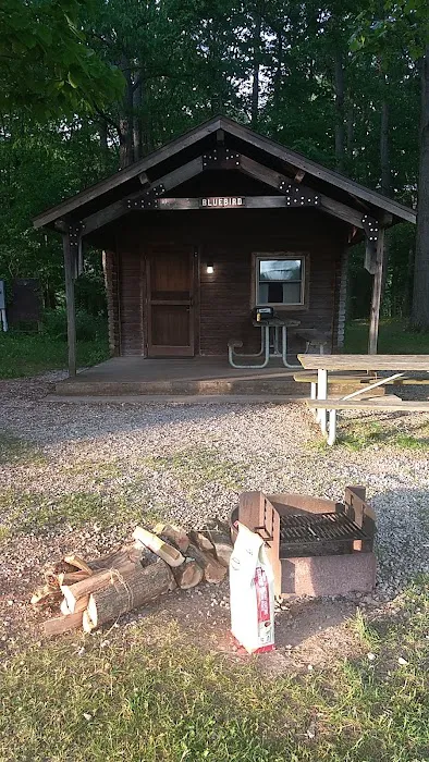 Bluebird Cottage Picture 2