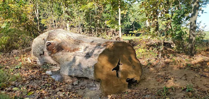 River Rock Recreation Campsite Picture 4