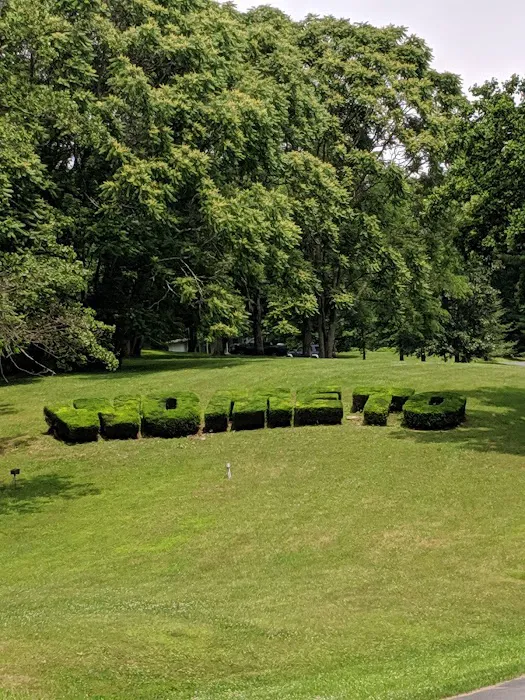 Camp Wo-Me-To Picture 5