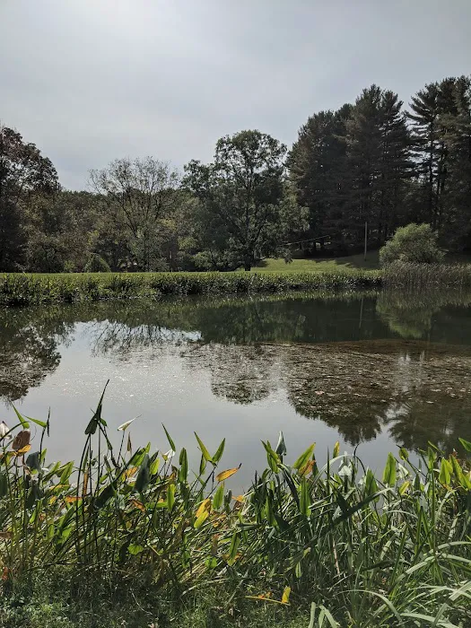 Camp Wo-Me-To Picture 7