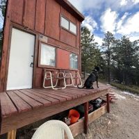 NEVERLAND Cabin Wilder ico