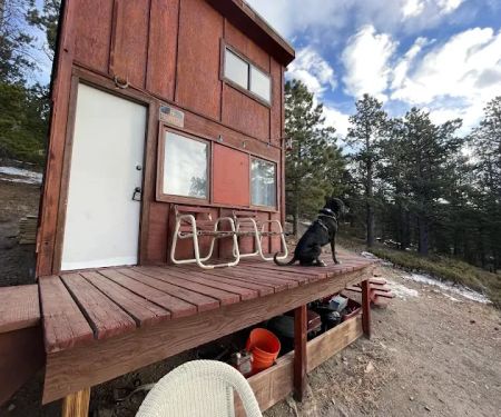 NEVERLAND Cabin Wilder