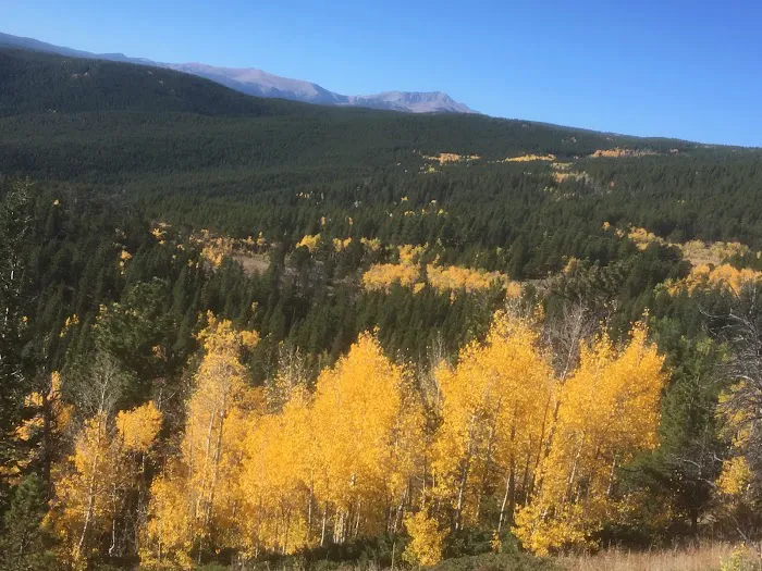 NEVERLAND Cabin Wilder Picture 2