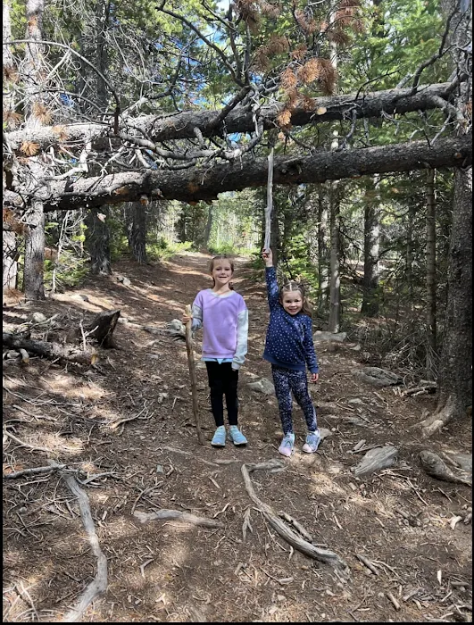 NEVERLAND Cabin Wilder Picture 5