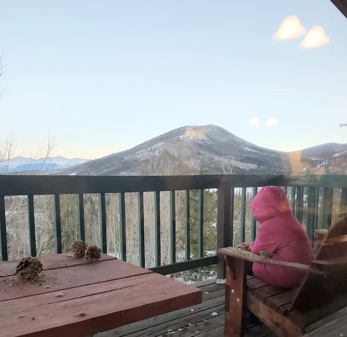 Snow Mountain Ranch Magnolia Cabin 53 Picture 3