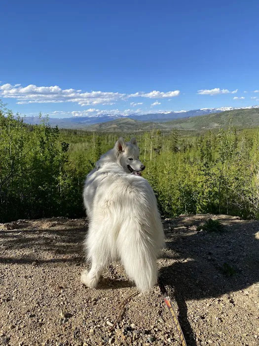YMCA Hallmark Cabin Picture 1