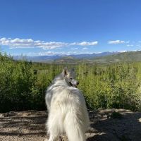 YMCA Hallmark Cabin ico