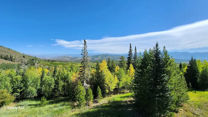 Three Sons Cabin #64 Picture 1