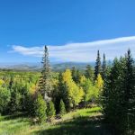 Three Sons Cabin #64