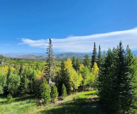 Three Sons Cabin #64