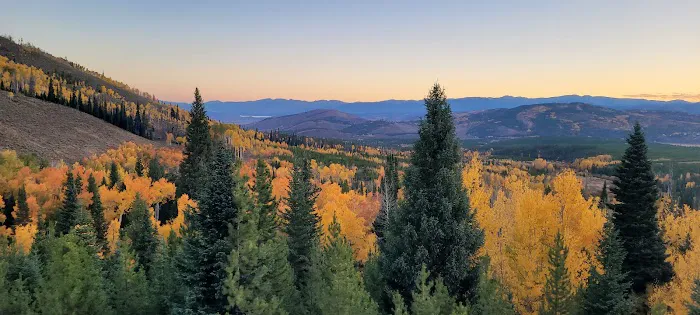 Eagles Nest Cabin Picture 3