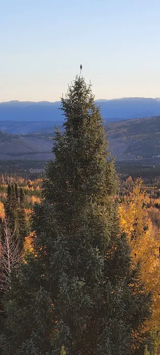 Eagles Nest Cabin Picture 1