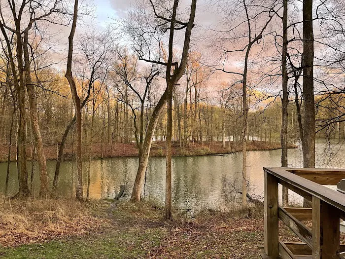 Meeman-Shelby Forest Cabins Picture 3