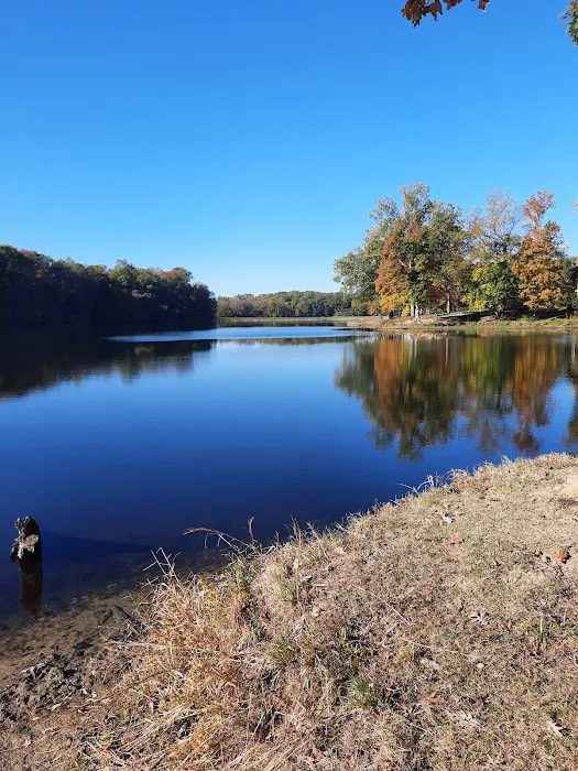 Meeman-Shelby Forest Cabins Picture 1